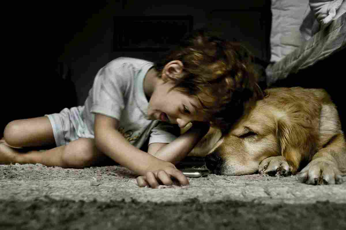 Boy with dog Dog and a kid | Sales Motivation Secrets So Simple Even A Caveman Can Use Them